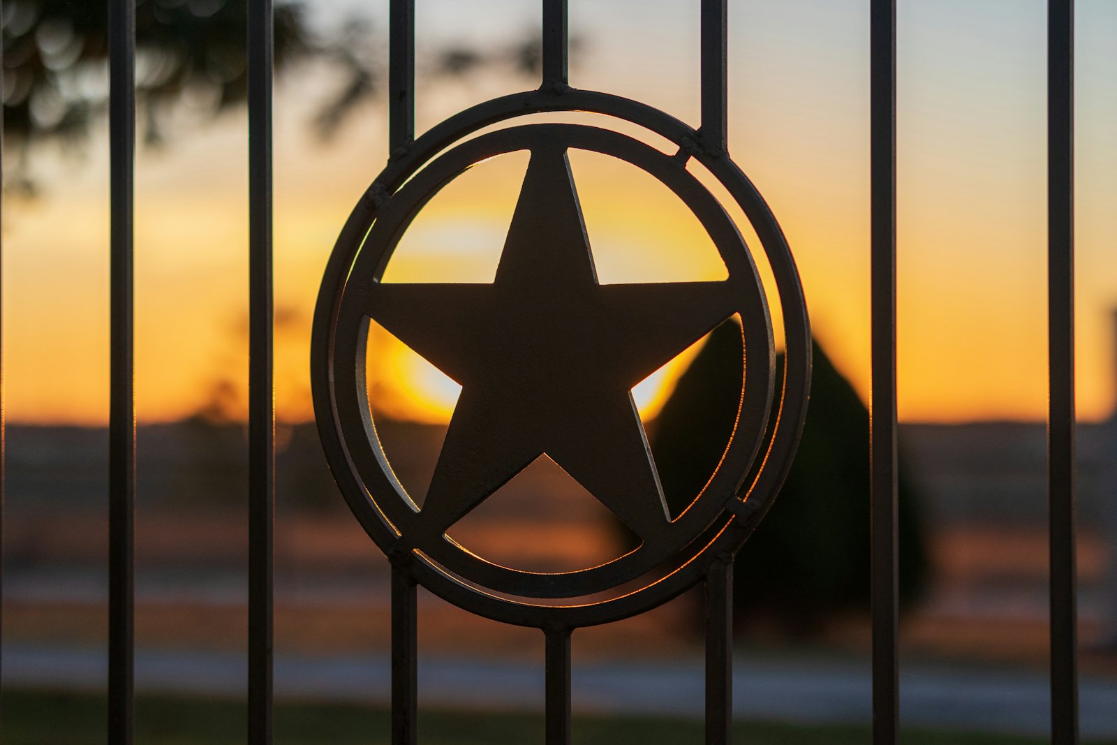 Iron gate with a Texas star at sunset